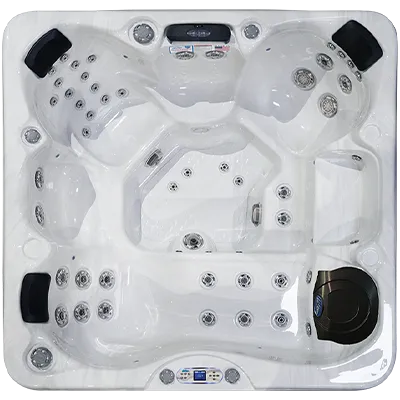 Avalon EC-849L hot tubs for sale in Noblesville