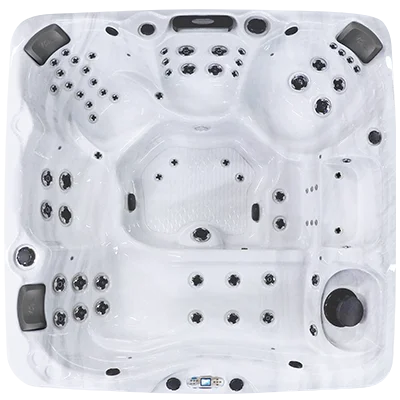 Avalon EC-867L hot tubs for sale in Noblesville